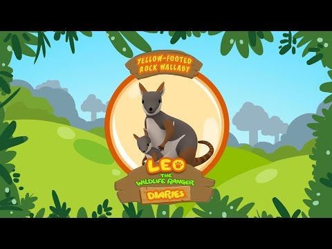 Witness21 Editor  2017 12 13