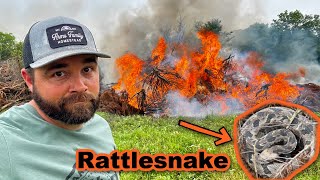 Things Went BAD Quickly! HUGE Rattlesnake!