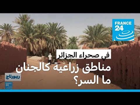 الجزائر.. مناطق زراعية كالجنان في الصحراء بفضل نظام ري قديم ودقيق