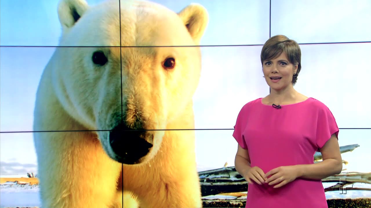 Matéria de Capa | Missão Ártico | 24/11/2019