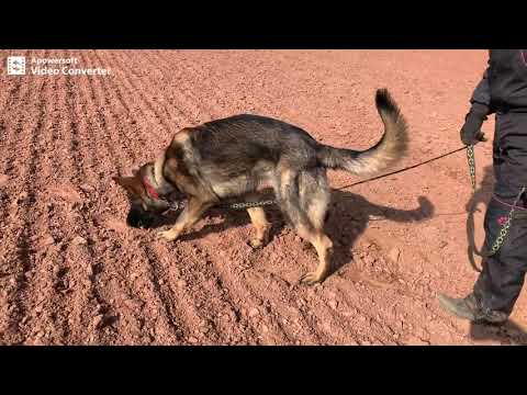 Wiper Mineo - tracking 11 months