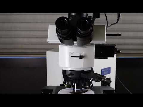 Laboratory Dic Microscope