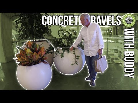 Concrete Travels With Buddy - Episode 5 - San Francisco
