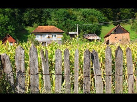 Ținutul Pădurenilor - Bunila