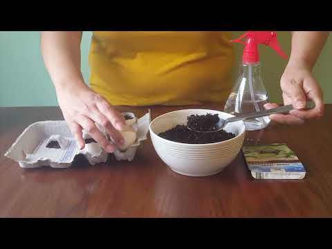 Eggshell Herb Garden