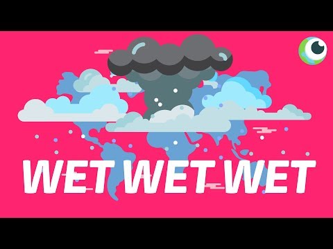 雨從沒停過？這裡是地球上最潮濕的地方！ (The wettest place on Earth)