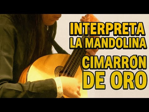 🔴 #EnVivo👉 Emily Mariño Rivas (Mani Casanare) Cimarrón De Oro👉 Ganadora del Garcero Del Llano 2025☑️