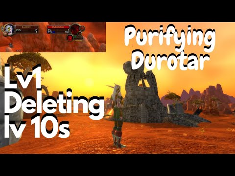 Horde calling lv60 friends to beat a lv 1, Lv1 rogue protecting the Stormwind Troups - WoW Classic