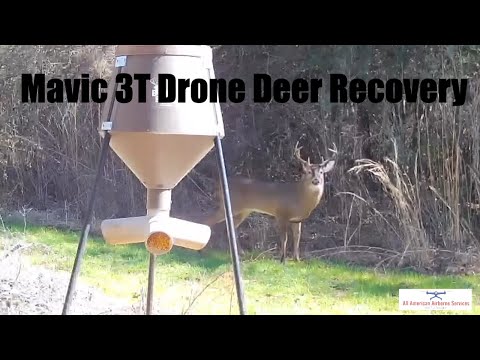 DJI Mavic 3T Thermal Advance Review Video 2