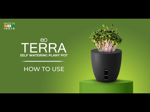 EO Terra | How to Use Terra - Self Watering Plant Pot