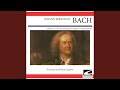 Concerto in D minor BWV 596 Allegro, Adagio, Allegro- Largo- Allegro