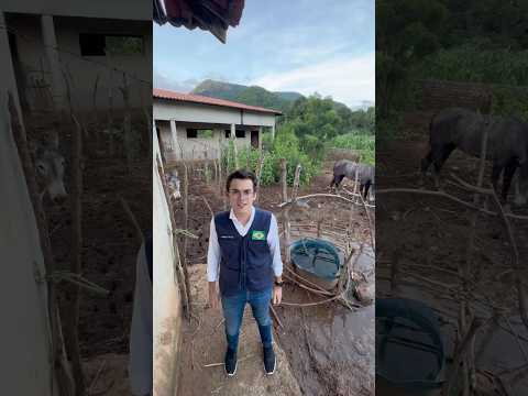 Capistrano-Ce, o que era pra ser uma escola virou um curral, com vários animais vivendo no local.