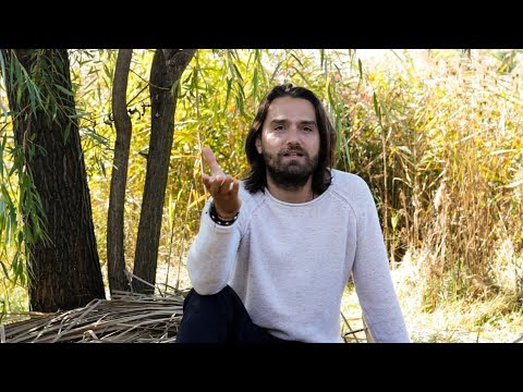 Mihai Toma - Interviu Carpatika 2018