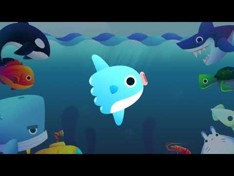 Get Bigger! Mola Video