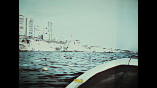 Snakeskin – October Sun