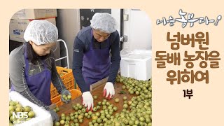 [나는농부다 218회 1부] 넘버원 돌배 농장을 위하여