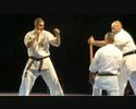 European Championship 2008 - demonstration - Sensei Nikolov