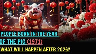 1971 Year of the Pig: Shocking Destiny Revealed in 2026 – You Must Know This!