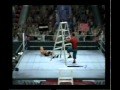 smackdown vs raw 2011 on ps2 ladder match 