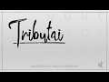 Ministério Zoe Tributai Áudio Oficial