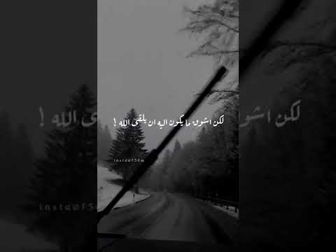 وسواس الخوف من الموت ! لا تخاف من الموت - محمد الشنقيطي