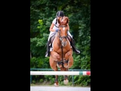 ZR WLKS Krakus Swoszowice 5.10.14r.