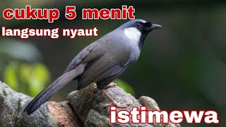 Download lagu POKSAY HONGKONG gacor mantap full isian mp3 Download lagu POKSAY HONGKONG gacor mantap full isian mp3