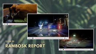 DRUNK DRIVER CRASH | STOLEN VEHICLE | A TUB OF MDMA
