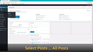Adding a SnapWidget Instagram widget to your Wordpress website for a specific po