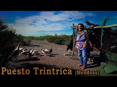 236 Puesto Trintrica Flia. Ortiz  2da. Parte (Mendoza) - Estancias y Tradiciones
