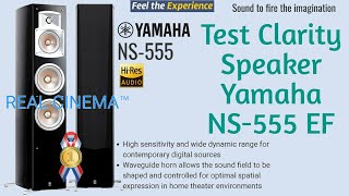 Clarity Test Speaker Yamaha NS-555 playing Country Rock Music