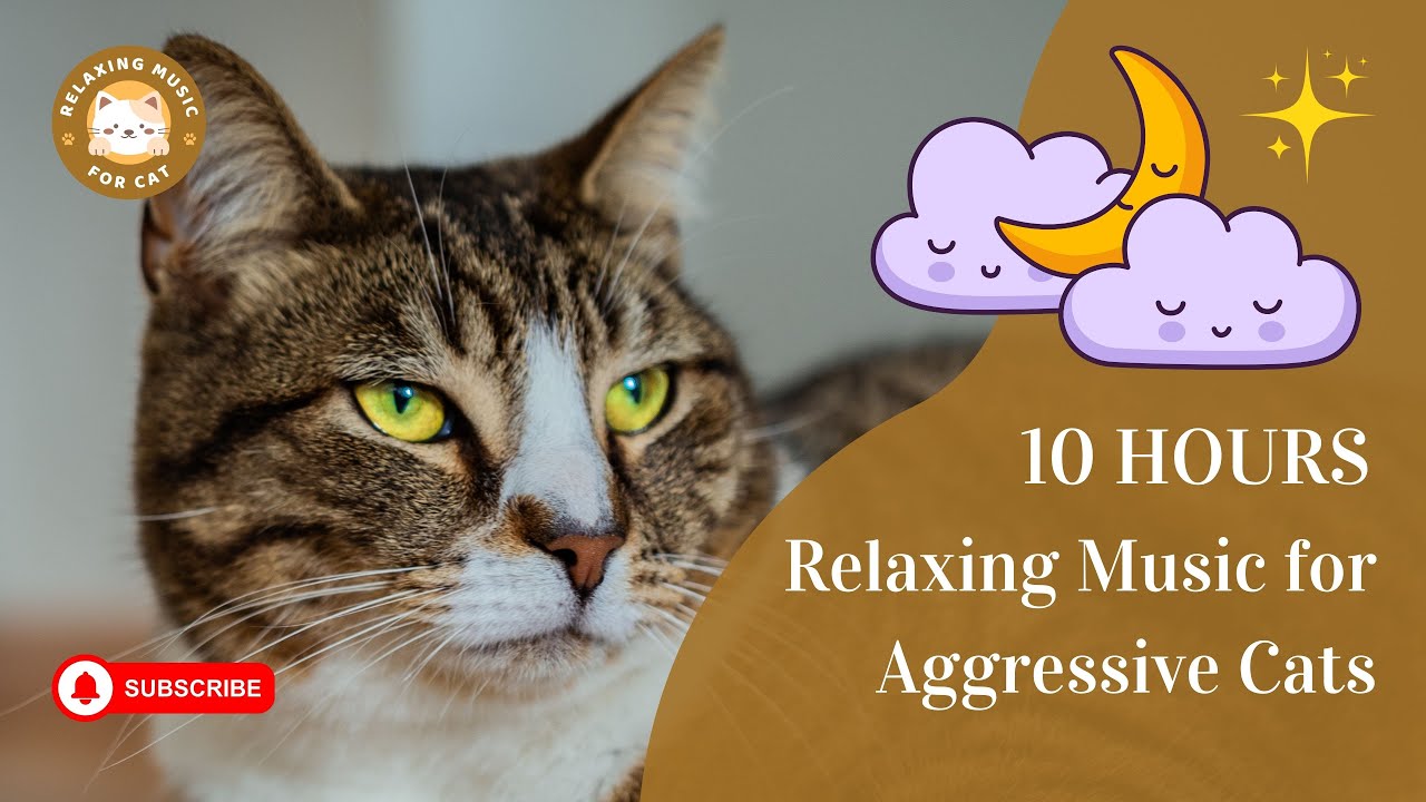 Relaxing Music for Aggressive Cats 10 Hours 🐾 Relaxing Music for Cats