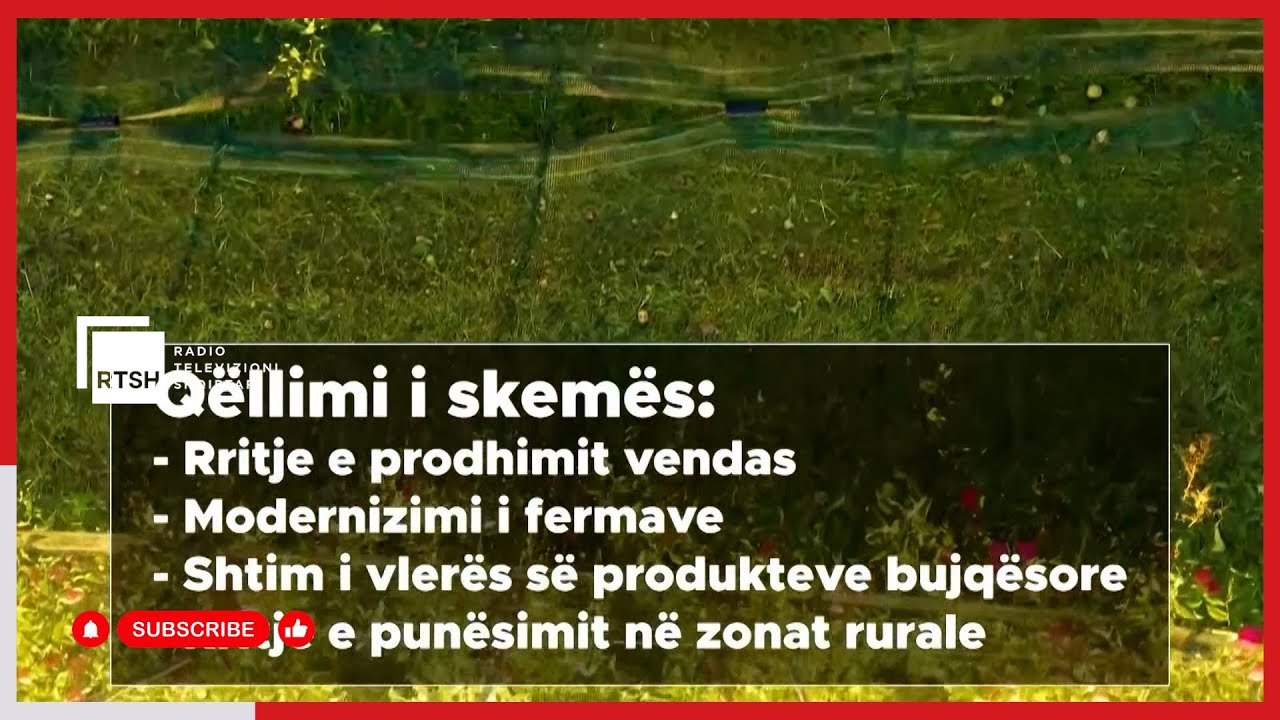 Hapen aplikimet për Skemën Kombëtare të Investimeve, Denaj: 2 miliardë lekë mbështetje për bujqësinë
