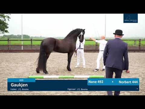 Locatiekeuring 30-6-2021 – Stal Sibma