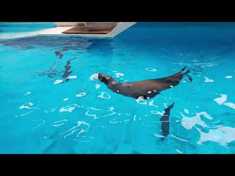 ZOO Ljubljana - Živalski vrt Ljubljana