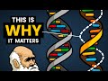 DNA Vs RNA Differences In Form And Function Stated Clearly
