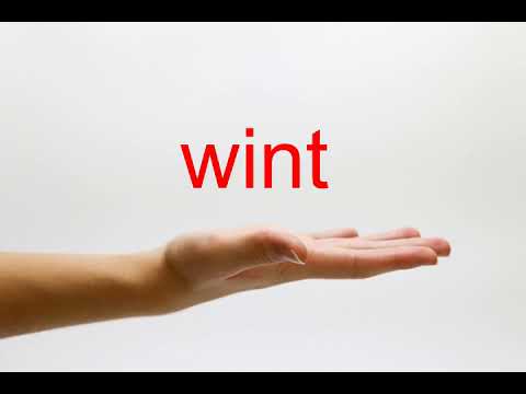 How to Pronounce wint - American English