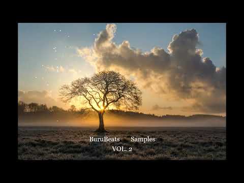 [ Royalty Free ] BuruBeats Sample Pack VOL. 2 - Trap Loop Kit 2020