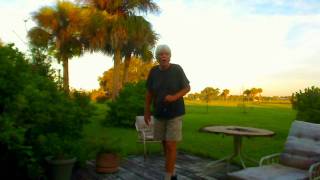 preview picture of video 'Back Yard At Port LaBelle, Florida HD'
