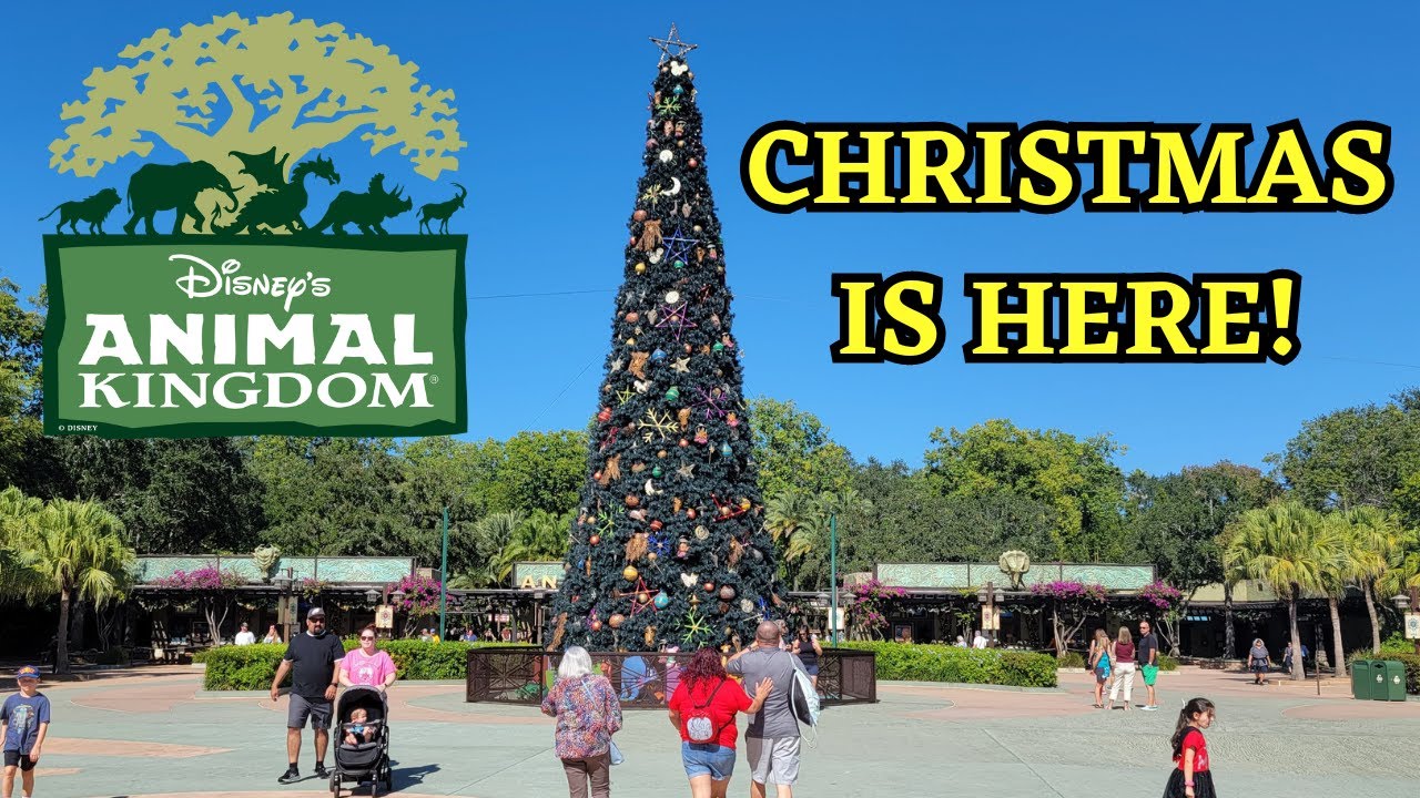 It’s Christmas at Disney’s Animal Kingdom! Decorations, Merchandise, & More…