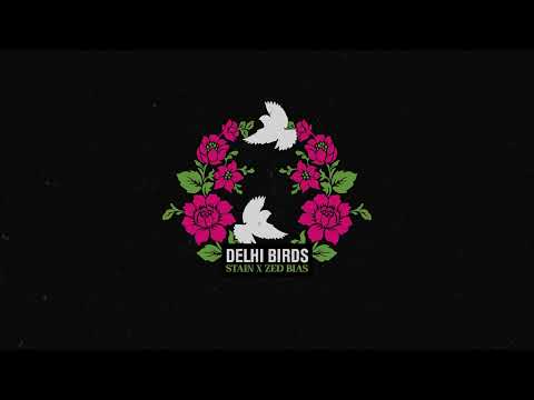 Stain x Zed Bias - Delhi Birds  [Official Visualiser] #garage #2step #bass