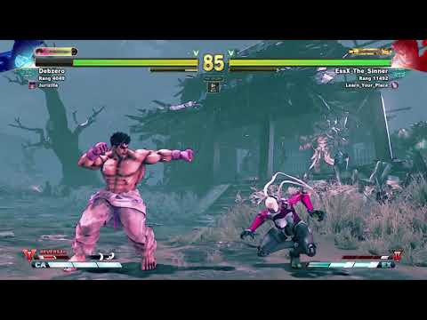 SFVAE - Kage training