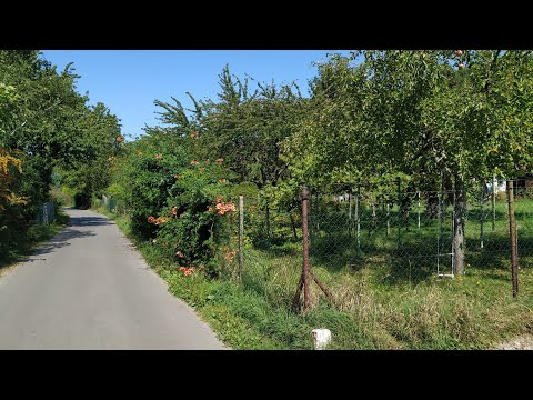 Blütenweg, a 95 kilometer long Fruit Tree Trail in Germany