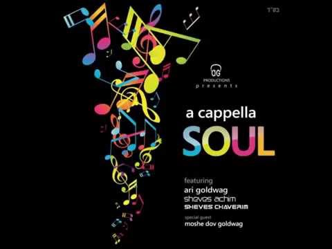 Ari Goldwag - The Artist