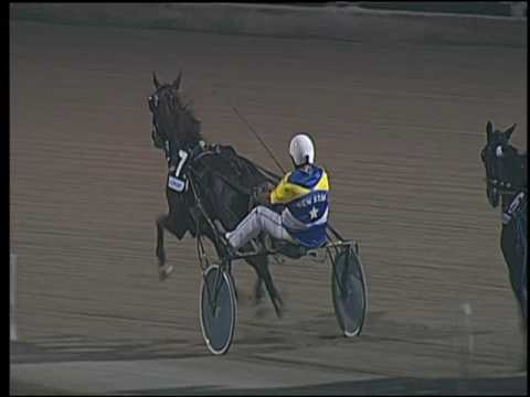 Trotto 02/07/2016 - 4° corsa