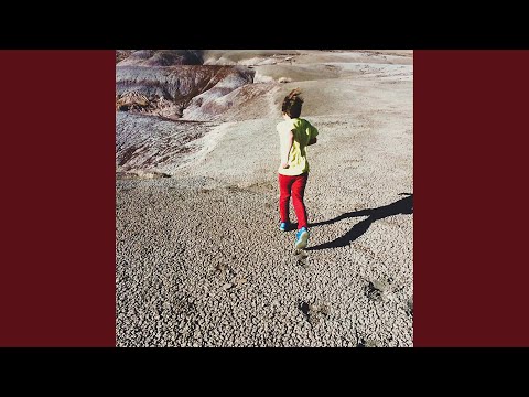 Run To Me - The Polyphonic Spree