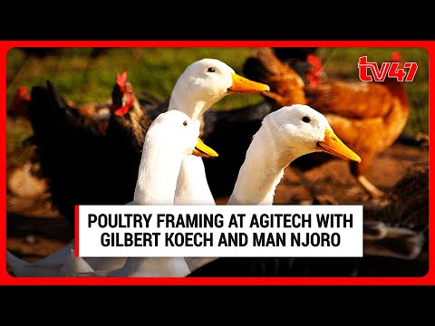 Poultry Framing at Agitech with Gilbert Koech and Man Njoro | Kilimo 47