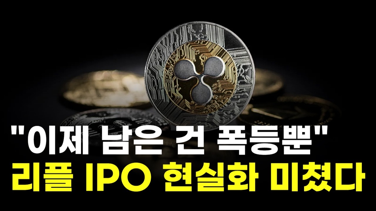 "이제 남은 건 폭등뿐"…리플, IPO 현실화 미쳤다