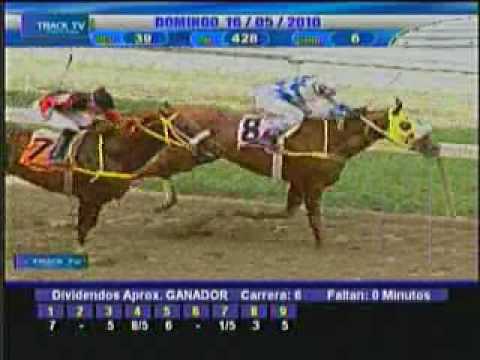 Resumen domingo 16 de mayo 2010 - La Rinconada