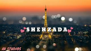 Sun meri shehzadi main hu tera shehzada!(lyrics - YouTube